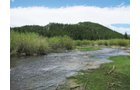 Property photo 19 - Get Lost in the Pristine Northern Colorado Rockies - Prime Building Sites